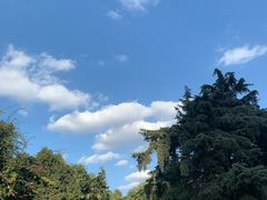 -雲物小食堂·精致云南小吃(金鹰店)