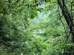 -鹿院坪生态旅游景区