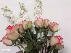 -LELECHA乐乐茶(新街口大洋店)