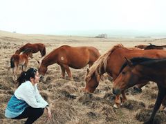 -木兰围场