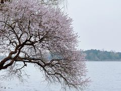 -颐和园