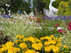 -八角街道·八角南路社区