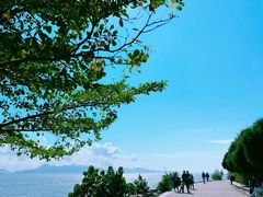 -深圳湾公园(南山区)