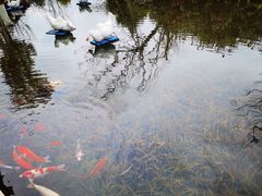 -周震馄饨(雅达阳羡溪山店)