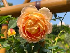 -人民公园(罗湖区)