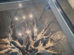 -金沙遗址博物馆