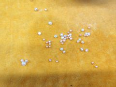 -白沙门生态公园