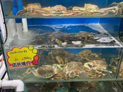 -蚝专家(北滘店)