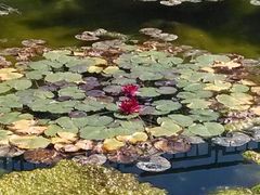 -南戴河国际娱乐中心