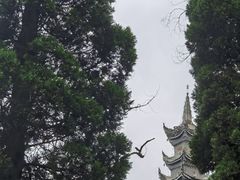 -中国观音故里广德景区