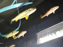 -同济大学四平路校区深海探索馆