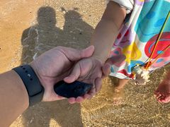 -日照灯塔风景区