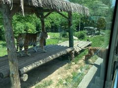 -西安秦岭野生动物园