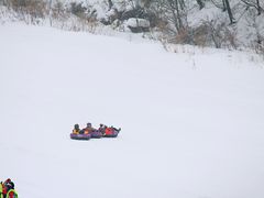 -五家山森林公园滑雪场