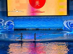 -海合安成都极地海洋公园