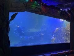 -嘉兴海底世界
