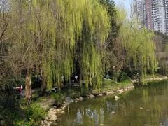 -重庆彩云湖湿地公园