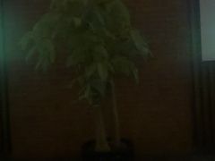 -浅深Cheersum(曹杨店)