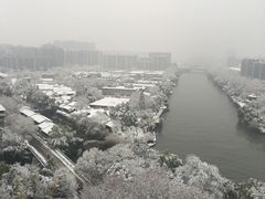 -运河游船(武林门码头)