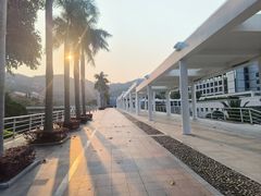 -厦门国家会计学院