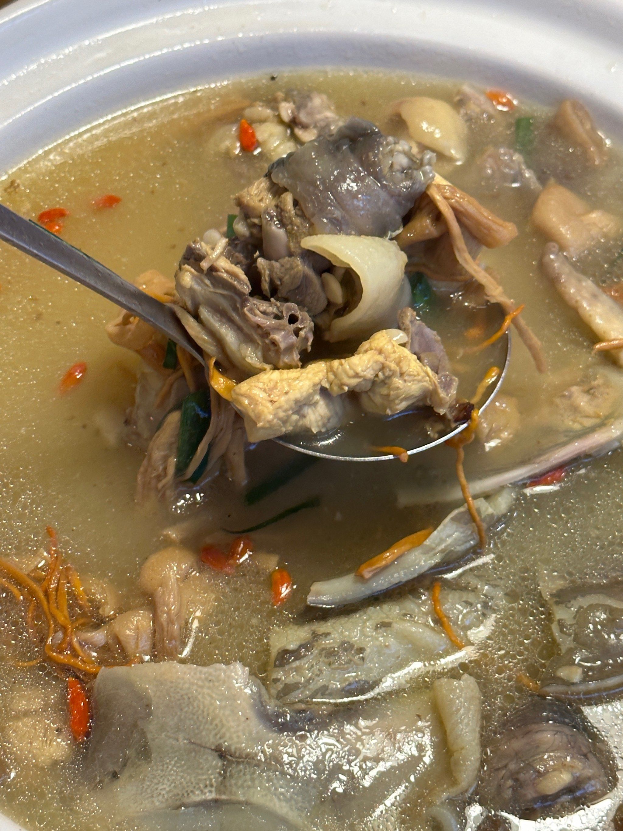 这一口甲鱼火锅,真的百吃不厌