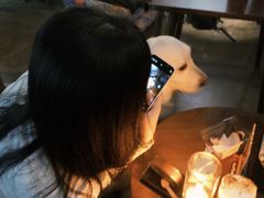 -咖法森林·咖啡  酒吧(天河店)