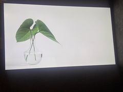 -华夏良子·足道SPA艾灸(铁道大厦店)