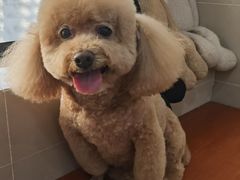 -艾贝尔宠物医院·24H转诊中心·肿瘤猫专科(江宁双龙店)