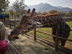 -西安秦岭野生动物园