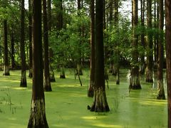 -艾溪湖湿地公园