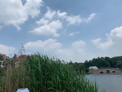 -大塘金香草谷