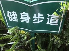 -磁器口古镇