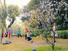 -王借岗森林公园