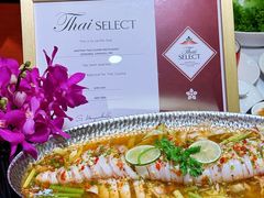 -阿诺泰·泰国餐厅(棕北店)