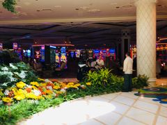 -拉斯维加斯永利酒店