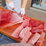 宝藏日料店！现场开鱼现场吃[耶]鹅肝也是一绝