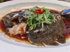 清蒸多宝鱼-粤珍轩·家宴·广式茶点(新城广场店)