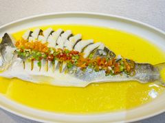 金汤清蒸海龙斑-九福楼大酒店