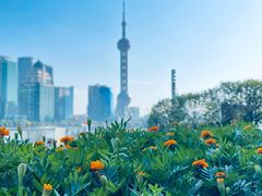 -北外滩滨江绿地