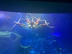 -多彩贵州城极地海洋世界