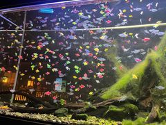 -大江户·温泉洗浴(浑南店)