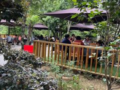 -张鸟园农家乐(张鸟园店)