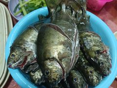 -蚝乡农庄(铁涌赤岸店)