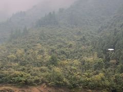 -神农溪纤夫文化旅游区-售票中心