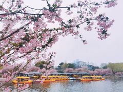 -莫愁湖公园