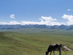 -新疆那拉提国家旅游度假区