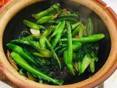 虾酱啫芥兰-勝記酒家·37年老字号·经典粤菜(荔枝公园店)