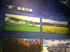 -特克斯八卦城