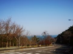 -棒棰岛宾馆景区
