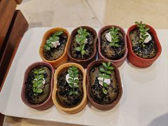 -百合酒店-香榭里自助餐厅